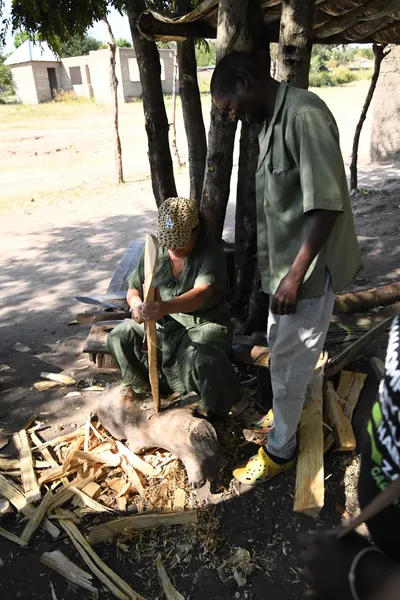 DSC_2932 (Large).JPG